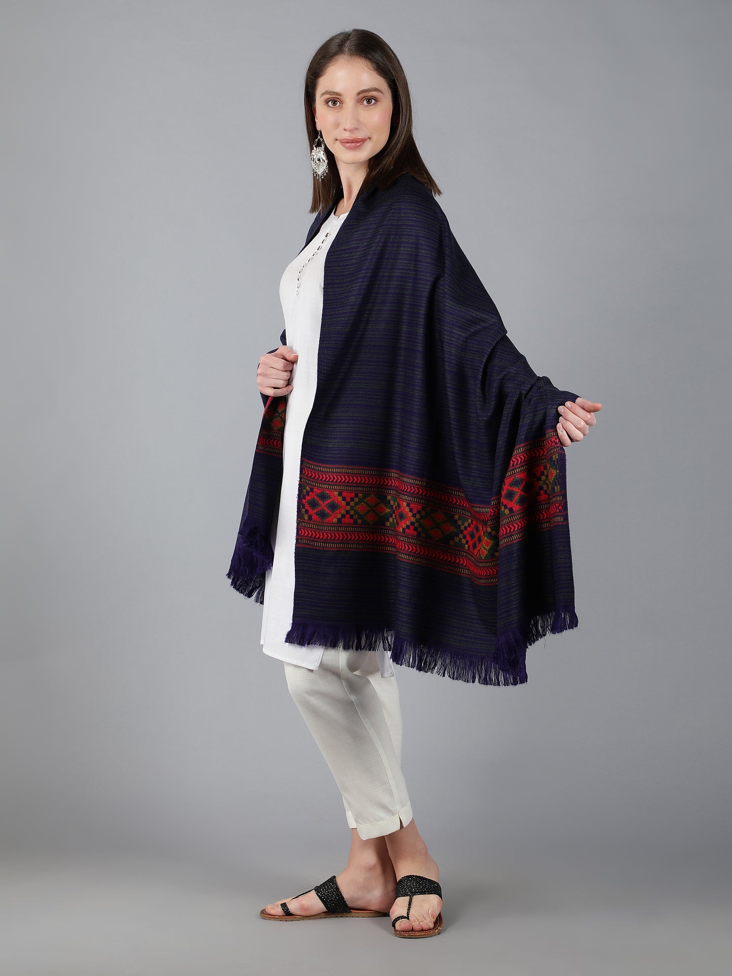 Kullu Himalayan Striped Border Shawl for Women | Blue