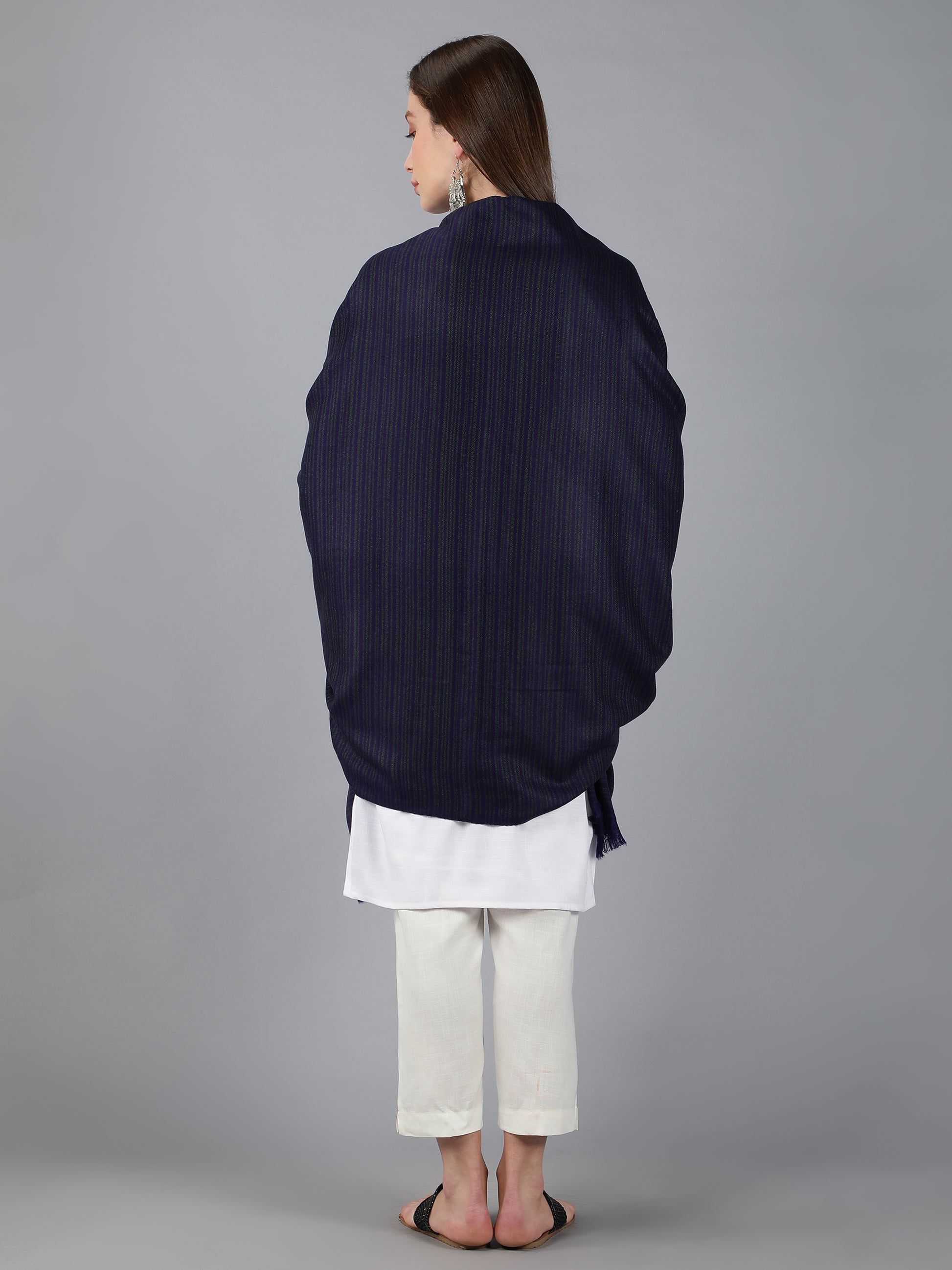 Kullu Himalayan Striped Border Shawl for Women | Blue
