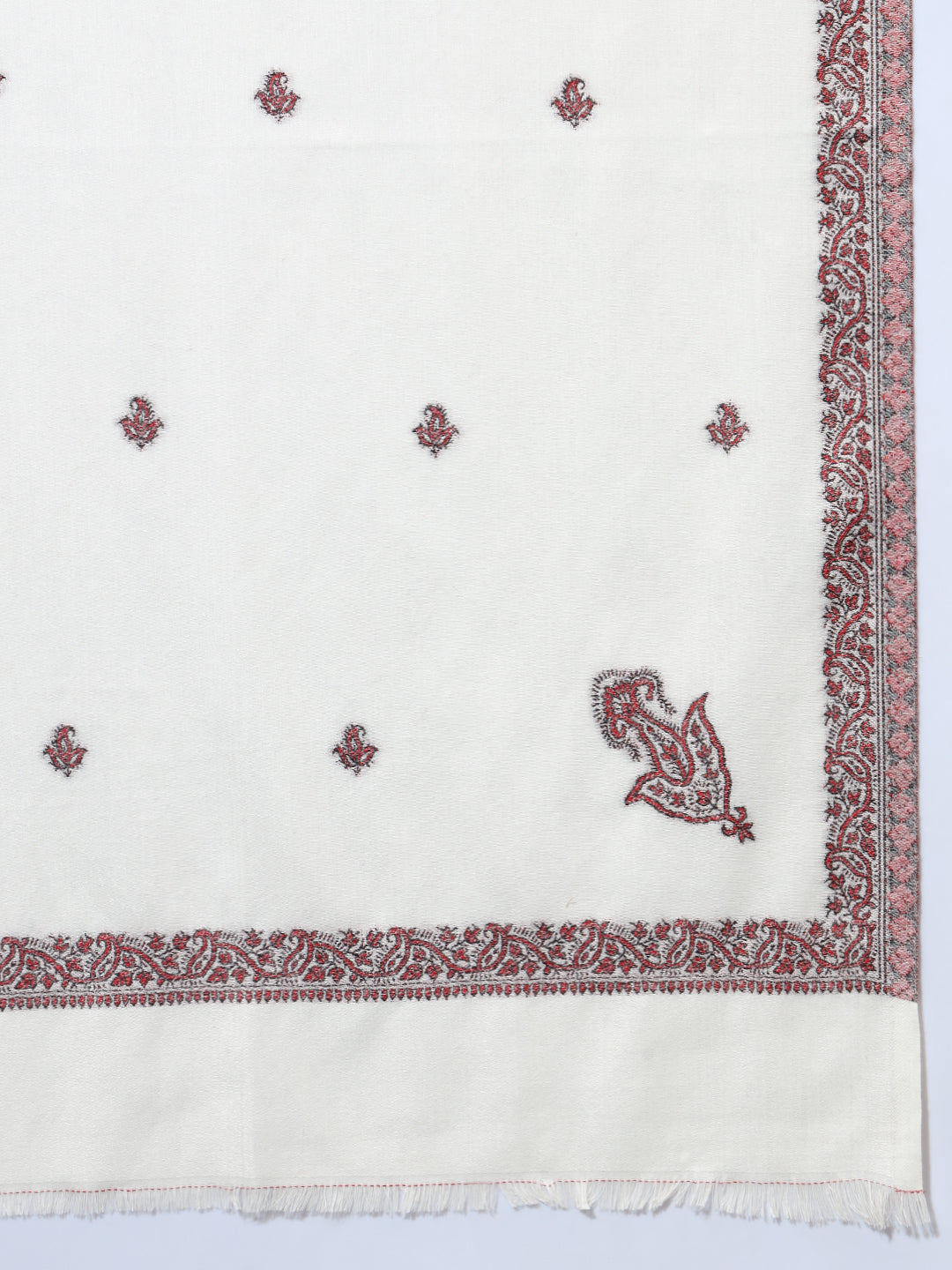 Woven Stole for Women with Daur Border in Woollen Kashmiri Design | White