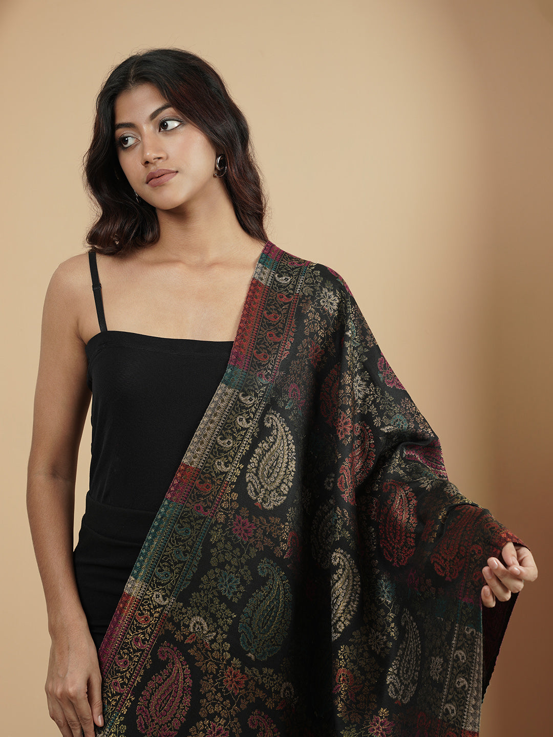 Multicolor Paisley Kani Weave with Zari Work | Black