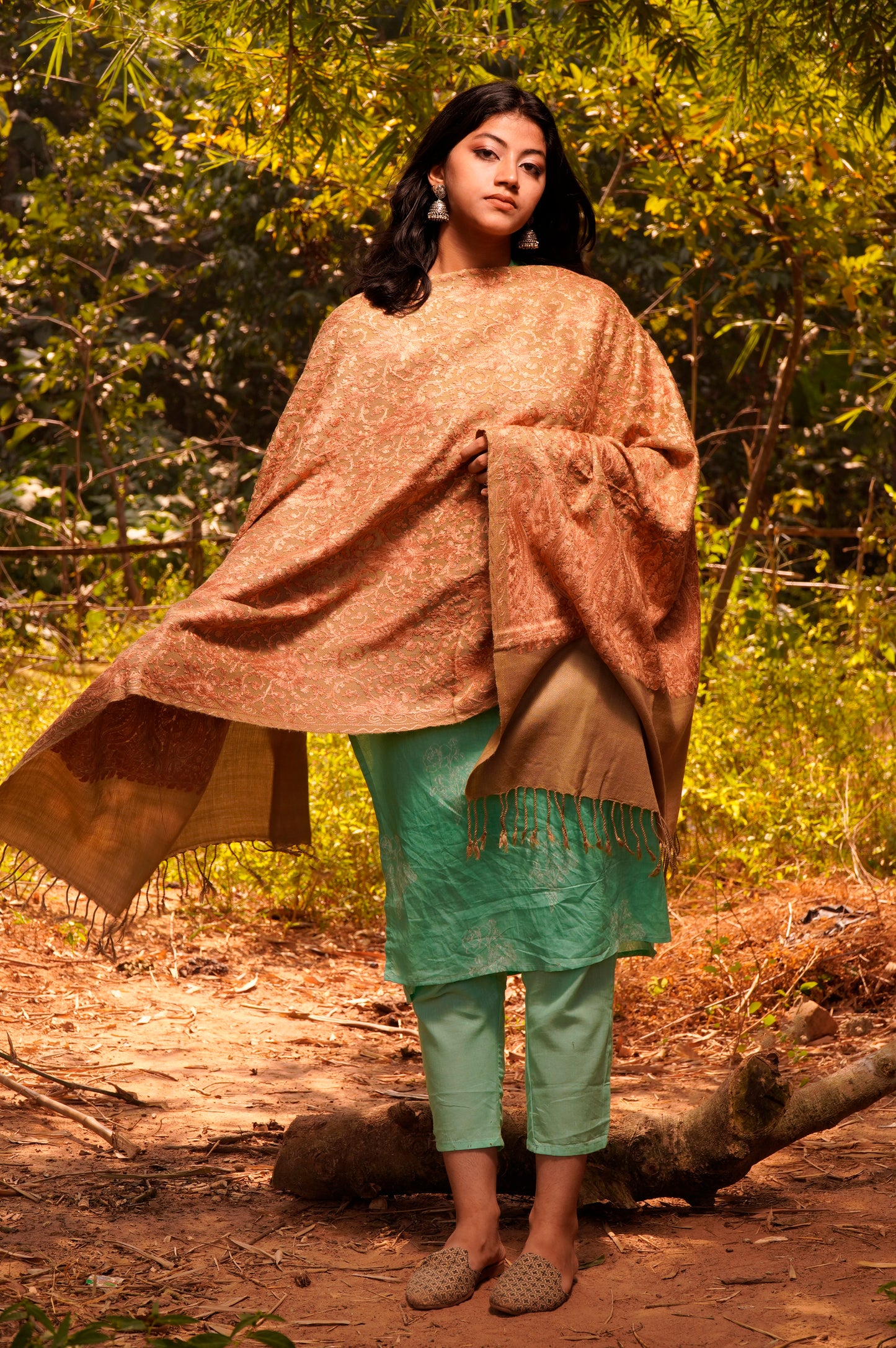 Kashmiri Aari Embroidery Woollen Stole | Brown