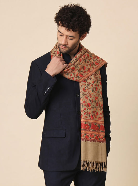 Kashmiri Aari Embroidery Woollen Stole for Men | Brown - photo 1