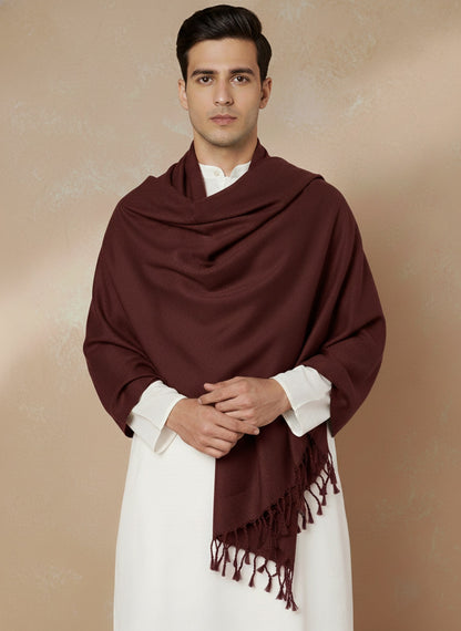 Men Lightweight Solid Color Warm Stole | Brown