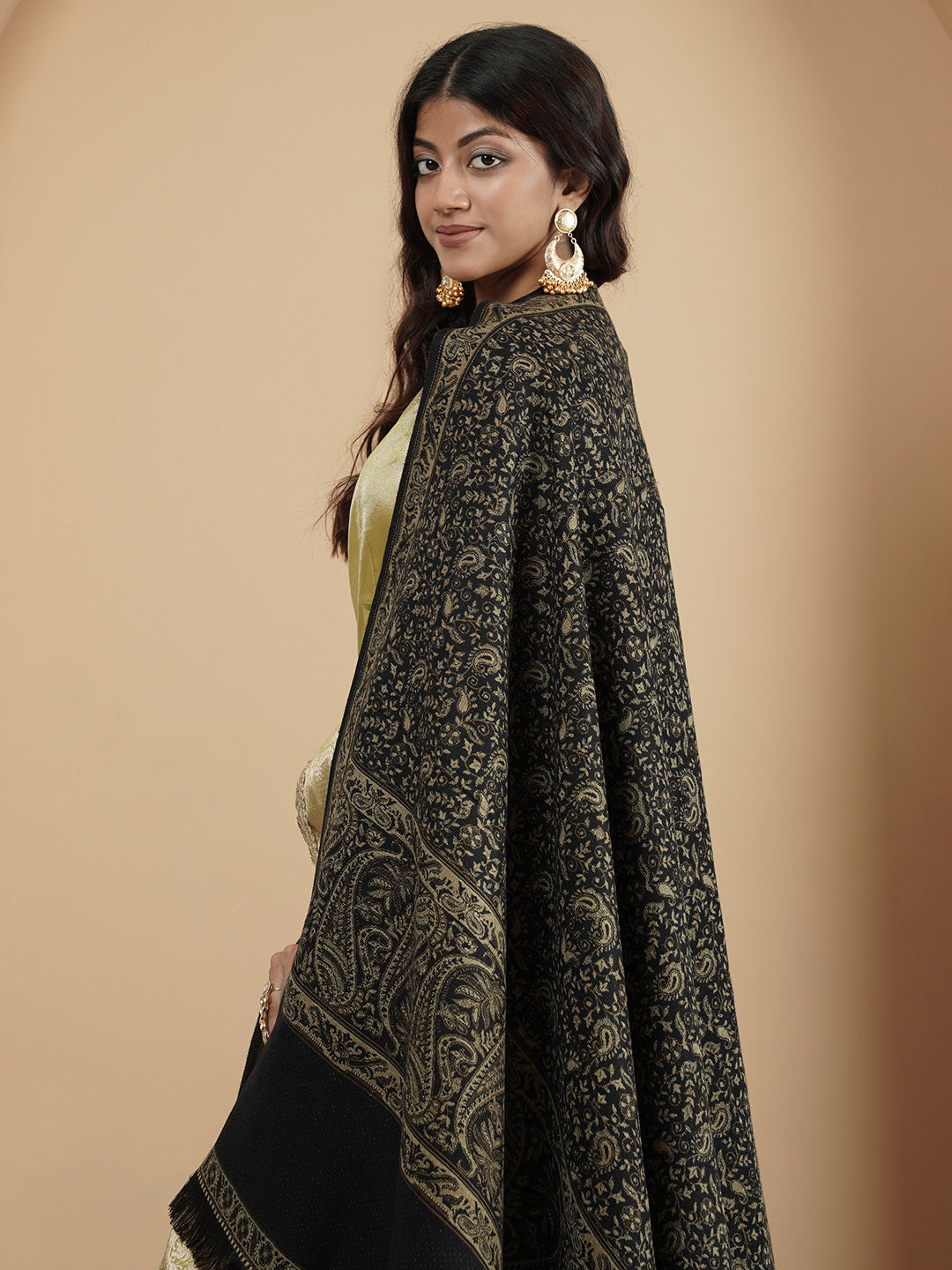 Woolen Kani Shawl with Intricate Kashmiri Paisley & Floral Woven Design | Black - view 5