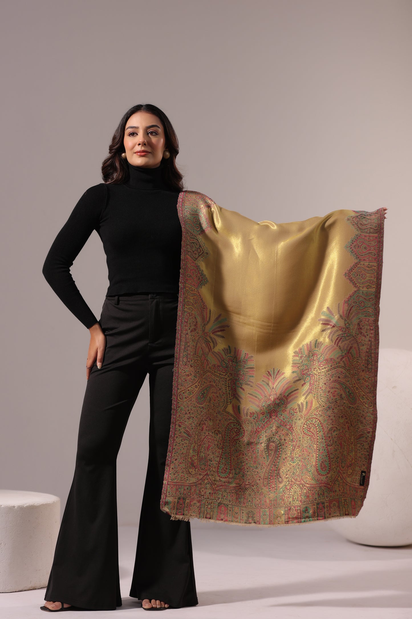 Women’s Premium Kani Woven Shawl with Zari Sheen | Beige