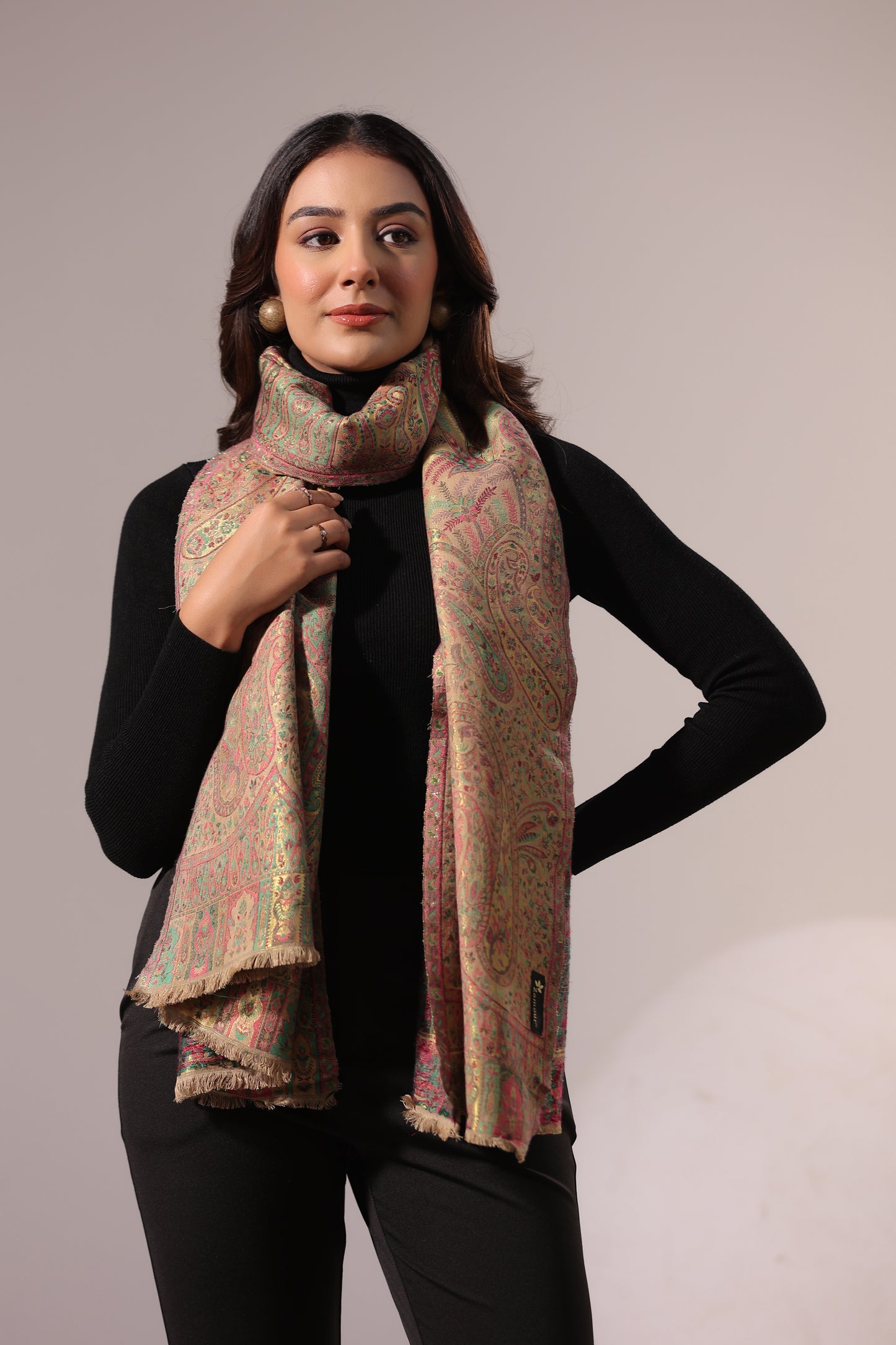 Women’s Premium Kani Woven Shawl with Zari Sheen | Beige