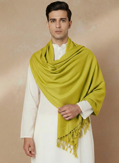 Men Lightweight Solid Color Warm Stole | Green - view 3