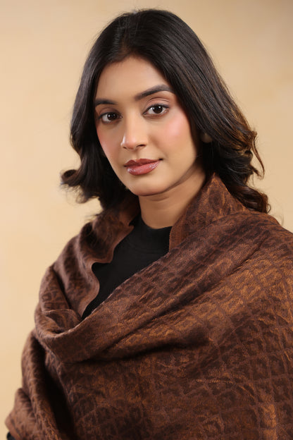 Fine Wool Solid Self Design Zari Stole | Brown