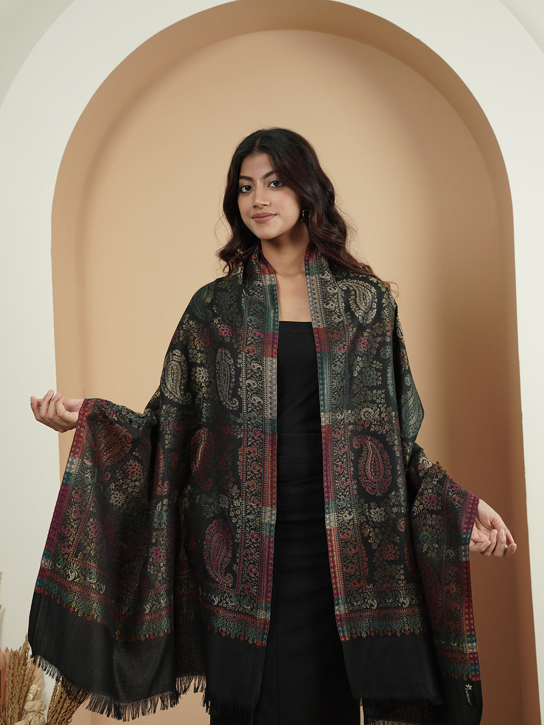 Multicolor Paisley Kani Weave with Zari Work | Black