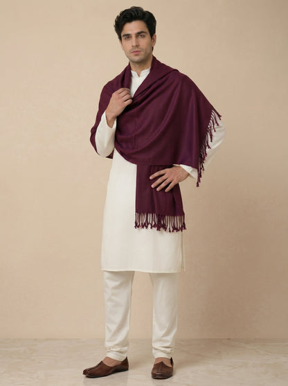 Men Lightweight Solid Color Warm Stole | Wine - view 5