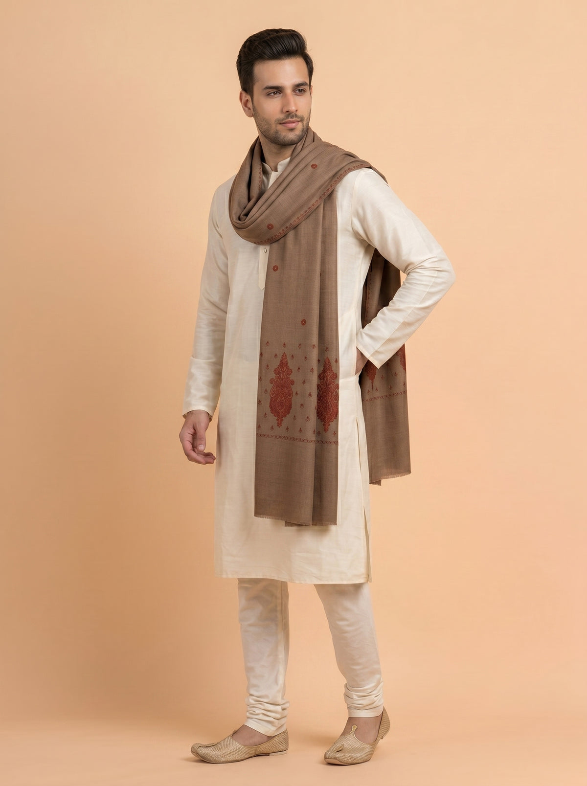 Fine Embroidery Paper Mache Kashmiri Wool Shawl for Men | Brown
