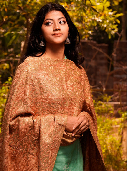 Kashmiri Aari Embroidery Woollen Stole | Brown